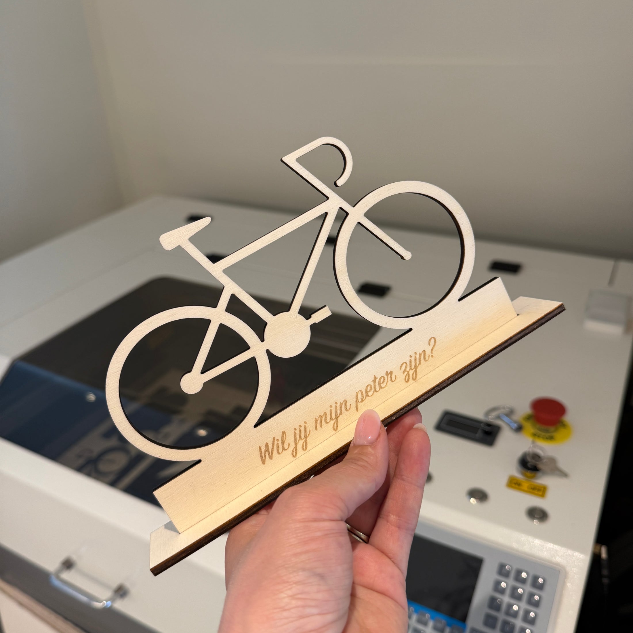 Houten staander fiets